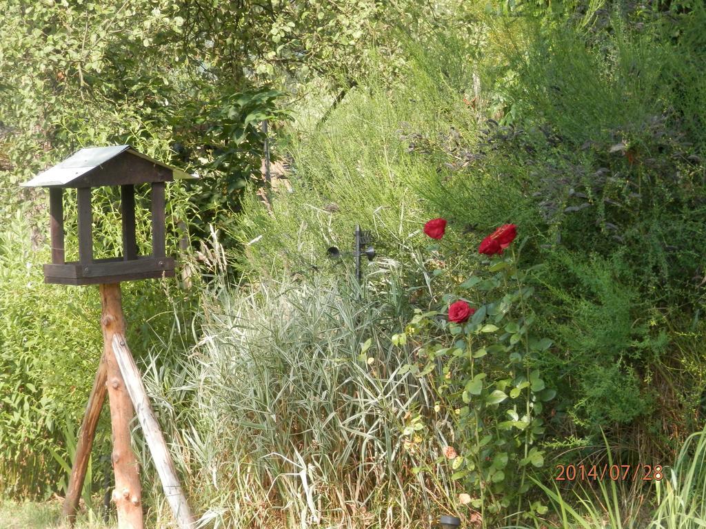Zagroda Agroturystyczna Wiecha Mieroszow Εξωτερικό φωτογραφία